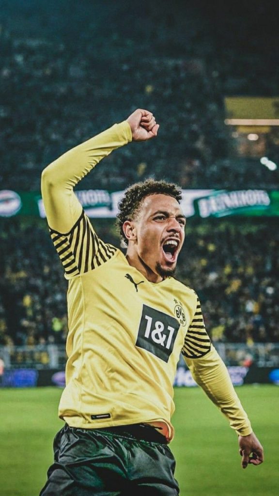 Donyell Malen Futbolcu
