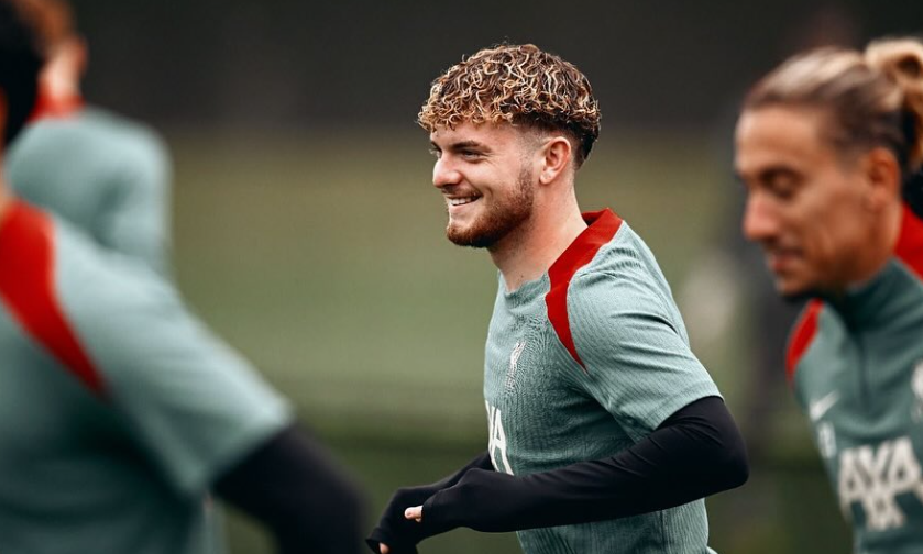 Harvey Elliott Duvar Kağıdı