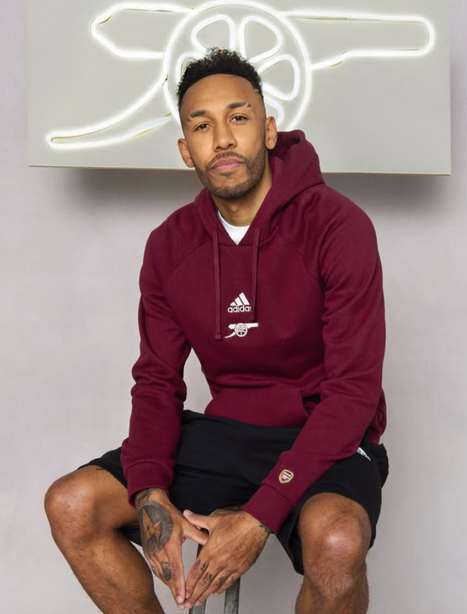 Pierre Emerick Aubameyang Spor Yaşamı